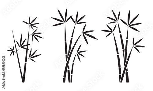 Elegant black and white bamboo plant illustration in minimalist style graphic, vector illustration