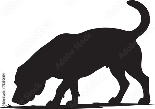 Black dog sniffing ground with curved tail silhouette