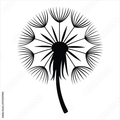 Black and white silhouette of a dandelion clock seed head
