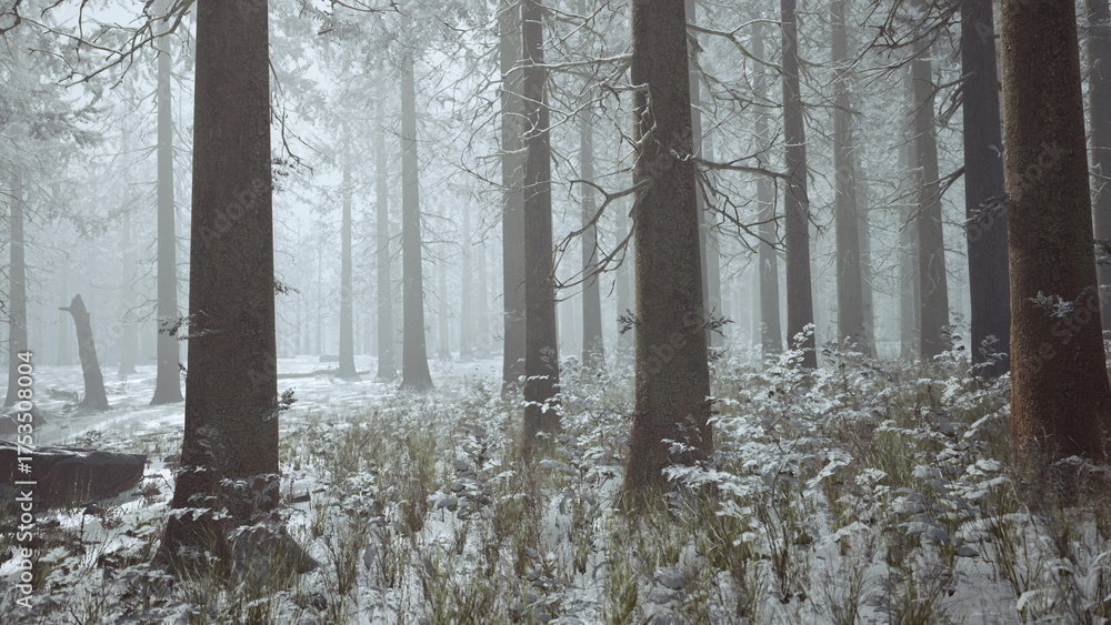 Naklejka premium Pine trees stand tall in a snowy landscape, blanketed with soft white snow. The serene atmosphere surrounds the quiet woods, evoking a peaceful winters day.