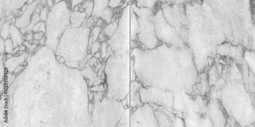 Abstract bloody grunge overlays fog isolated on black background. Light grey textured background high resolution image with copy space. Marble ink abstract art from exquisite original painting .