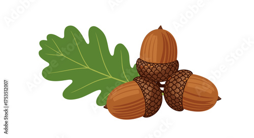 A cluster of three acorns with a green oak leaf beside them.