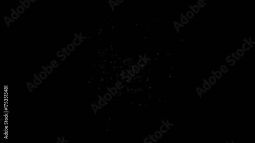 A multitude of small insects swirling around a light or heat source on a transparent background with an alpha channel.