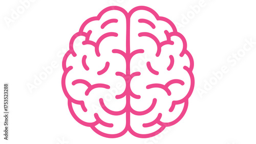 Stylized pink brain outline on white background
