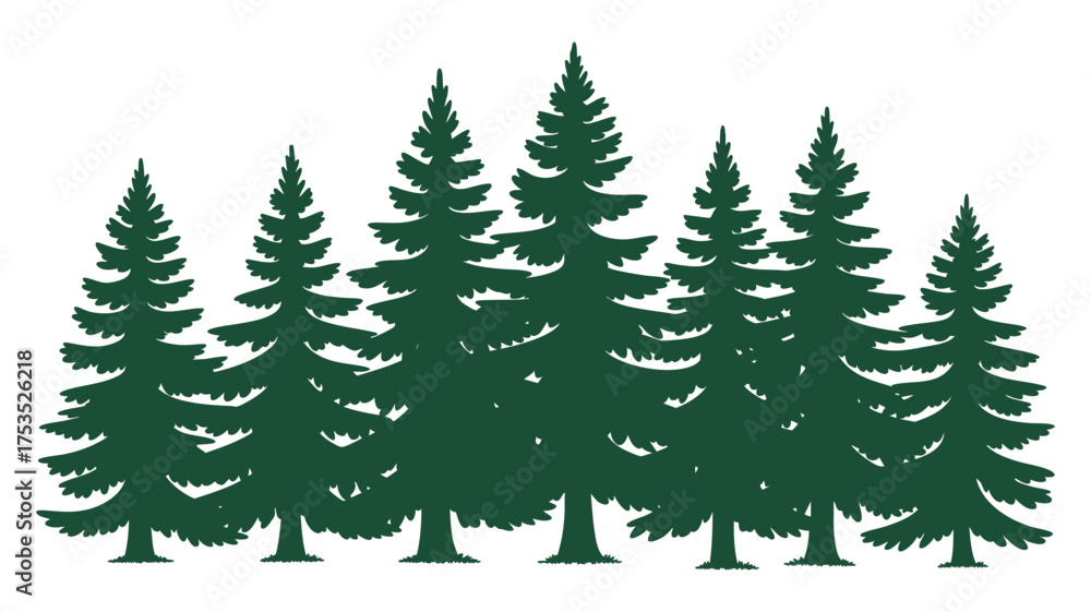 Obraz premium Silhouette of a dense forest of evergreen pine trees
