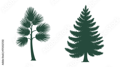 Two stylized green pine trees one tall and one shorter with branches and needles clearly visible