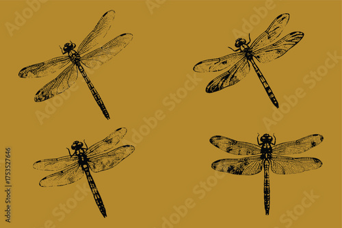 Retro halftone Dragonfly stipple effect vector illustration. grunge punk y2k collage design. Vector illustration in stipple halftone brutalist retro design for vintage banner