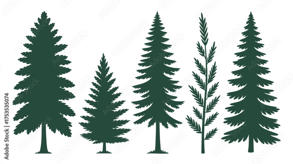 Fototapeta premium Collection of evergreen trees and tall grass silhouettes for natural designs