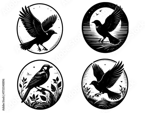 black and white vector illustration of an bird