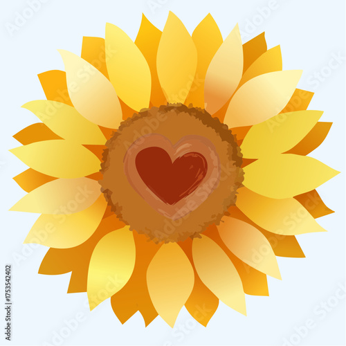 Sonnenblumenherz in Großaufnahme