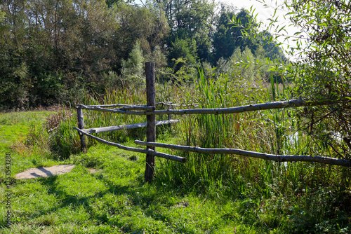 Vászonkép A rustic log fence separates a manicured patch of green grass from a wild, overgrown marshy area with a pond, framed by reeds and trees