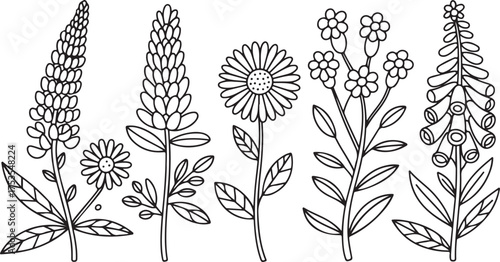 Flower Svg, Wildflower Svg, Flowers 