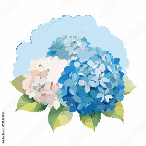 Blaue Hortensie mit weichen Farbverläufen