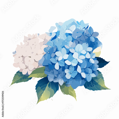 Blaue Hortensie mit weichen Farbverläufen