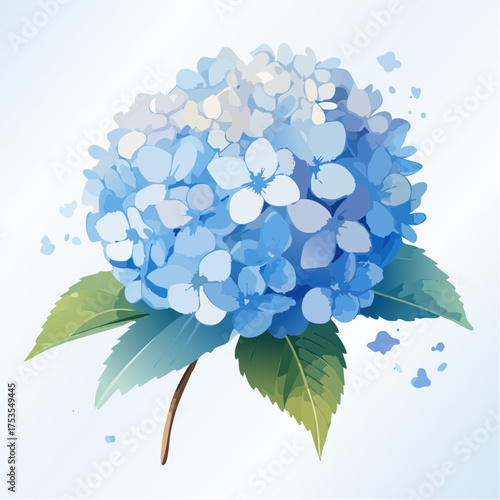 Blaue Hortensie mit weichen Farbverläufen