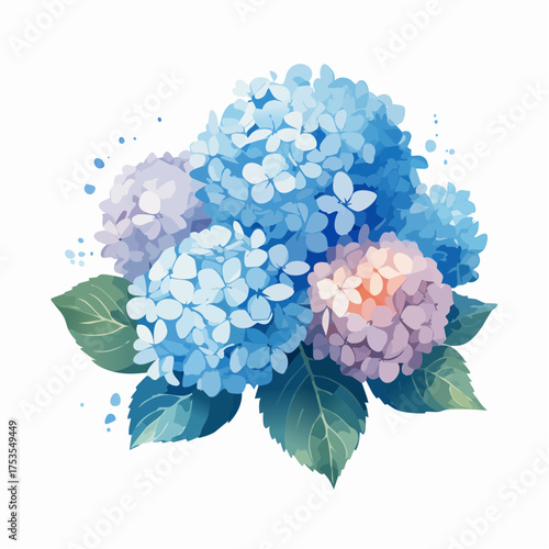Blaue Hortensie mit weichen Farbverläufen