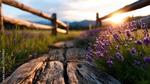An enchanting pathway leads through aromatic lavender flowers under a glowing sunset, capturing the essence of tranquility, beauty, and the harmony of nature.