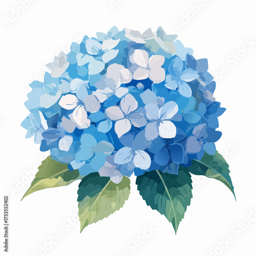 Blaue Hortensie mit weichen Farbverläufen
