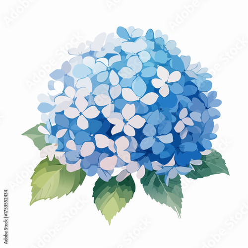 Blaue Hortensie mit weichen Farbverläufen