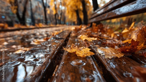 A picturesque scene capturing a rain-soaked wooden path blanketed with autumn leaves, conveying feelings of tranquility and the beauty of nature's cycles.