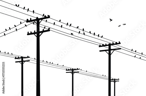 Silhouette of birds on power lines, urban wildlife, electrical infrastructure, dramatic sky, perspective depth, nature in city, moody evening scene