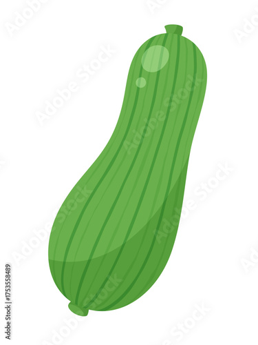 ヘチマの実が1つのイラスト素材