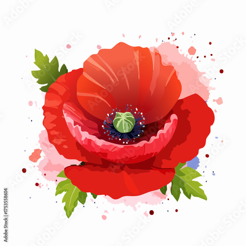 Roter Klatschmohn mit sichtbarem Pollenstaub
