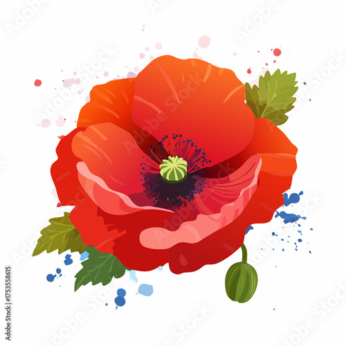 Roter Klatschmohn mit sichtbarem Pollenstaub