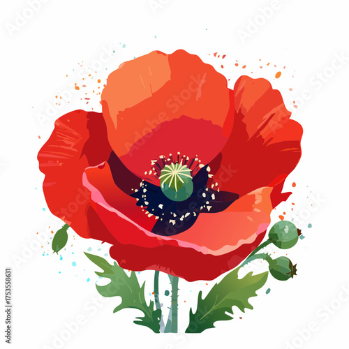 Roter Klatschmohn mit sichtbarem Pollenstaub