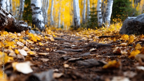This enchanting forest scene captures a beautiful autumn pathway lined with vibrant golden leaves, showcasing nature's breathtaking transition during fall.