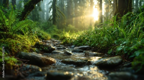 A peaceful forest scene featuring a gentle stream flowing over stones, illuminated by golden morning light filtering through the trees, evoking tranquility and nature's beauty.