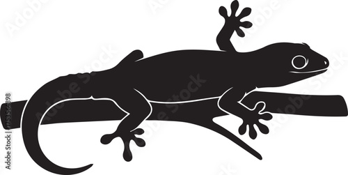 Black silhouette of a gecko lizard clinging to a tree branch wildlife reptile