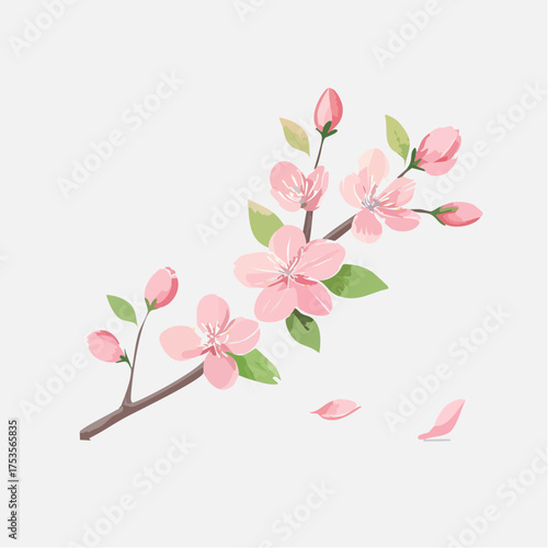 Kirschblüte mit zarten Zweigen – minimalistischer Stil