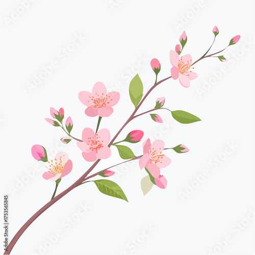Kirschblüte mit zarten Zweigen – minimalistischer Stil