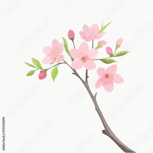 Kirschblüte mit zarten Zweigen – minimalistischer Stil