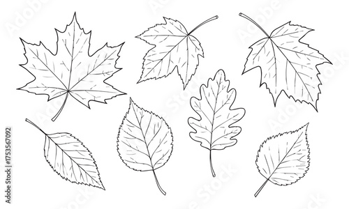 Cartoon Baseball Character with Graffiti and Attitude Ready for Action Sports a Baseball Bat and Athletic Shoes