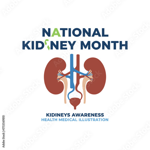 Celebrating National Kidney Month: raising awareness about kidneys, illustrating medical health, and focusing on the human kidney