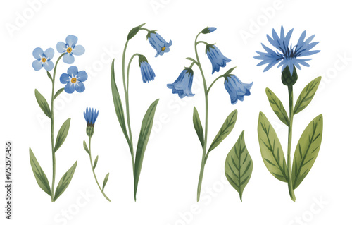 Watercolor bluebell and forget-me-not wildflowers on white. Blue meadow blooms with green foliage.