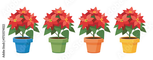 Four vibrant poinsettia plants in blue, green, orange, and yellow pots, showcasing red leaves and small yellow centers.