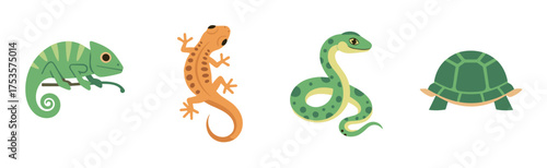Four cartoon-style reptiles including a green chameleon, orange gecko, green snake, and green turtle, each in a side view, depicted on a white background.