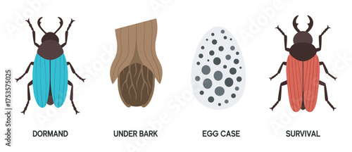Illustrations of two colorful beetles, a section of bark concealing a dormant stage, and an egg case with black spots, showcasing different survival strategies.