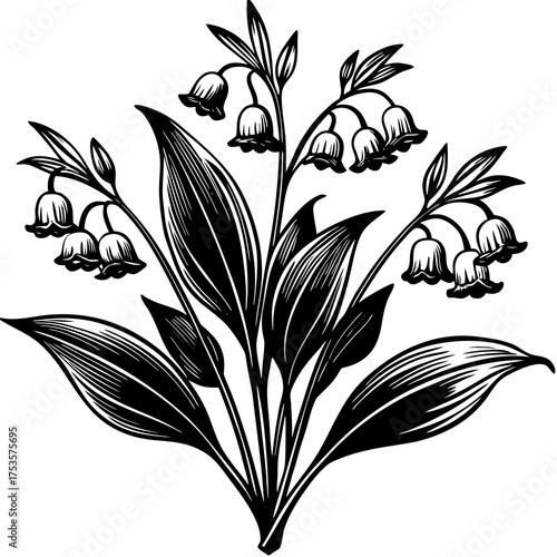 Delicate white lily of the valley flower bells with subtle green stems and leaves a beautiful botanical illustration for spring and nature themes