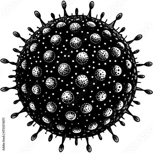 Detailed microscopic view of diverse pollen grains showcasing intricate textures and biological structures ideal for scientific and educational illustrations