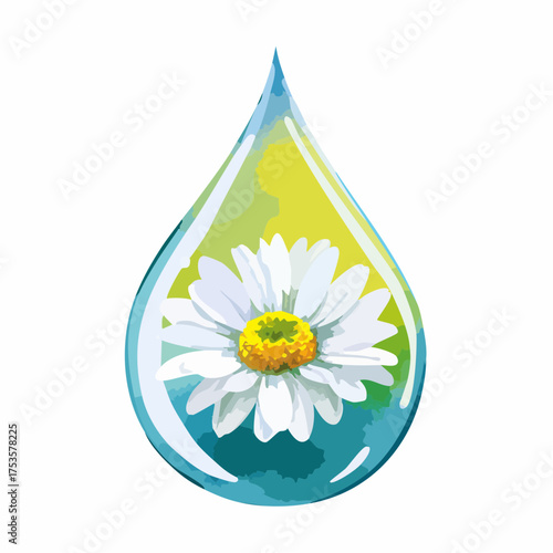 Gänseblümchen in Wassertropfen – feine Nahaufnahme
