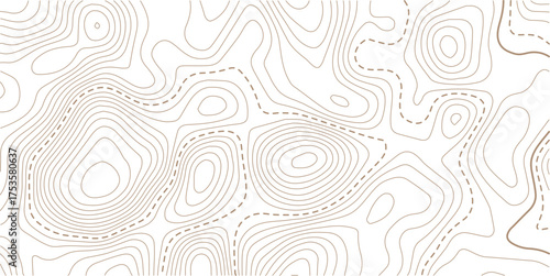 Luxury gold abstract topographic map background with golden lines  texture,  wallpaper design for fabric , packaging , web, geographic grid map vector illustration.