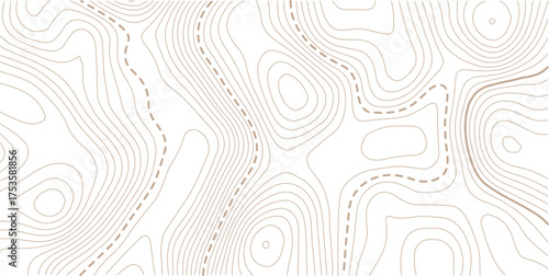 Topographic gold luxury map background. Geographic abstract pattern. The topo contour or wallpaper. Mountain trail terrain or path. Vector illustration. Golden on white contours vector topography styl