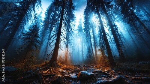 A captivating forest scene enveloped in mist with towering trees and ethereal light rays, creating a tranquil and mysterious atmosphere amid nature’s beauty.