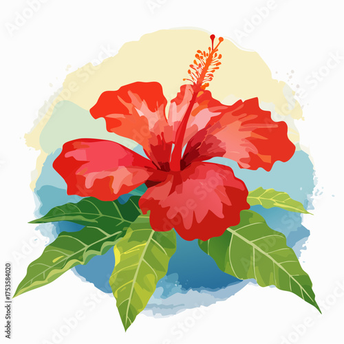 Hibiskusblüte in tropischer Farbenpracht
