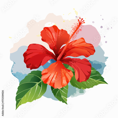 Hibiskusblüte in tropischer Farbenpracht