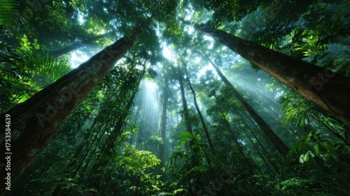 This enchanting image depicts a lush green forest with towering trees, bathed in soft sunlight filtering through the canopy, creating a mystical atmosphere filled with serenity.